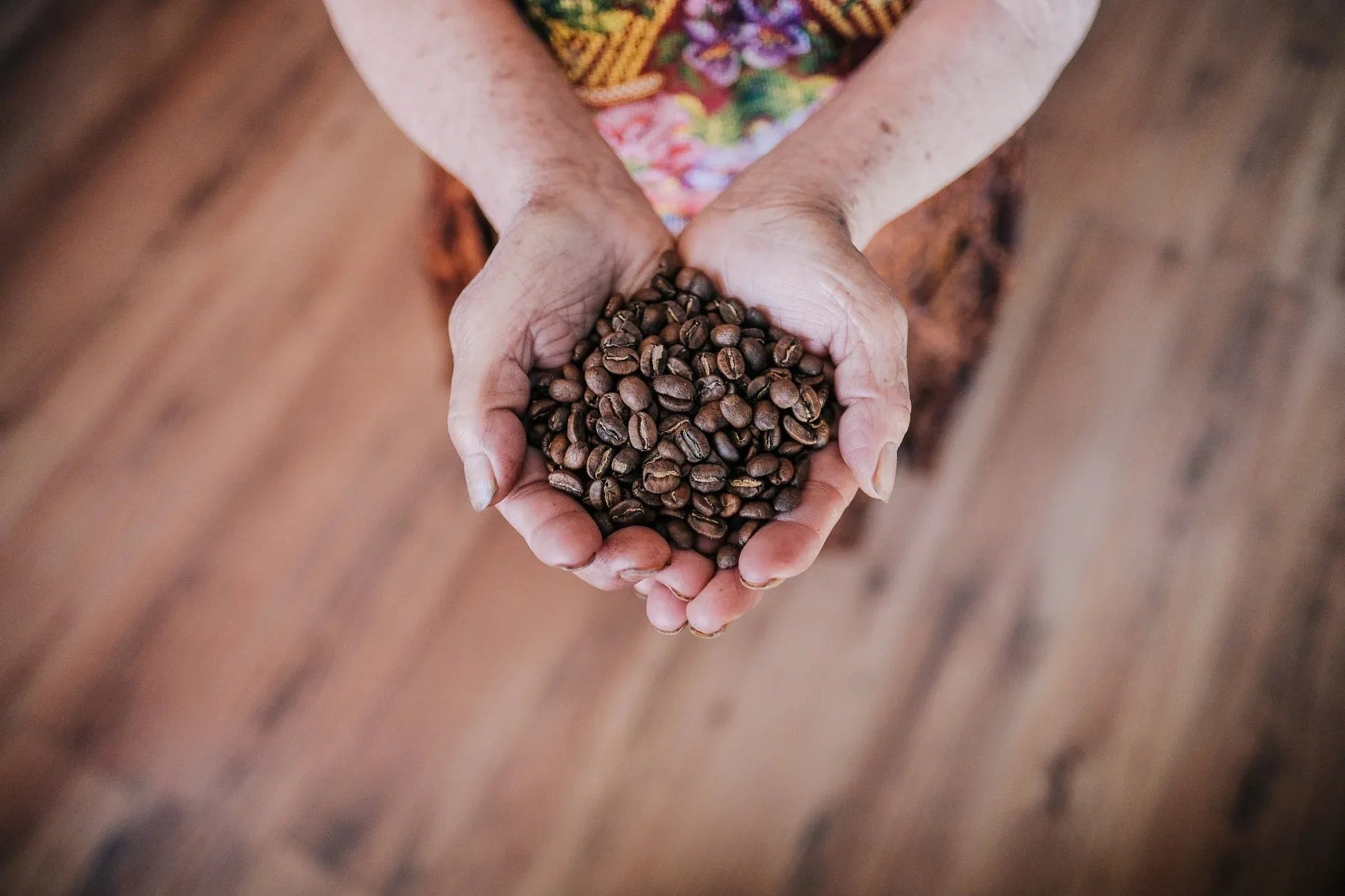 Guatemala Huehuetenango Valle Vista Fancy SHB LIFT Green Coffee Beans - ROASTIKA