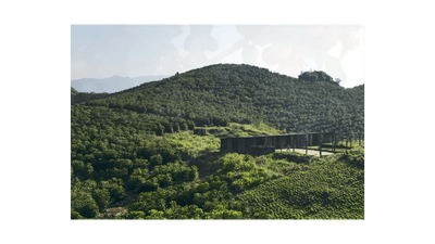 Guatemala San Marcos Robusta - ROASTIKA