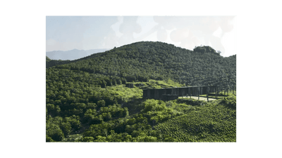 Guatemala San Marcos Robusta Green Coffee Beans - ROASTIKA