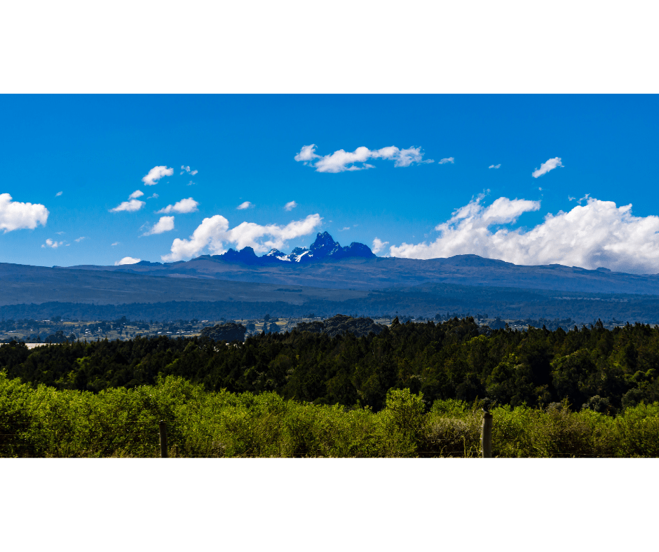 KENYA Select PLUS AA - ROASTIKA