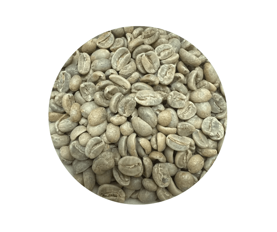 Mexico Chiapas Green Coffee Beans - HG EP - ROASTIKA