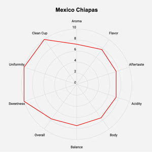 Mexico Chiapas Green Coffee Beans - HG EP - ROASTIKA