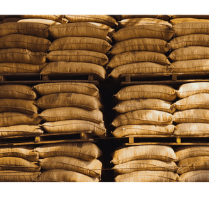 Mexico Chiapas Green Coffee Beans - HG EP - ROASTIKA