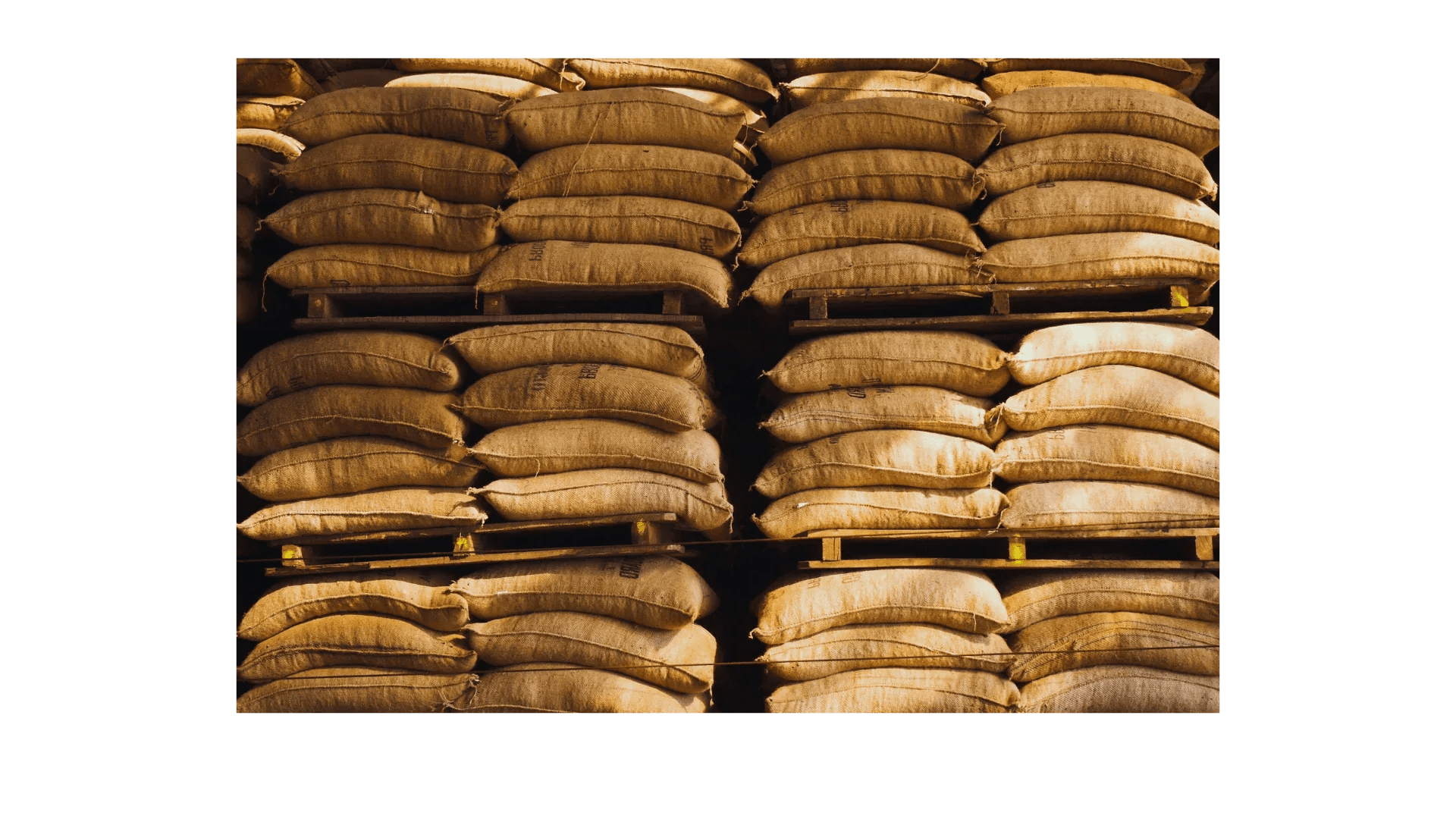 Mexico Chiapas Green Coffee Beans - HG EP - ROASTIKA