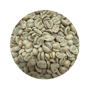 Mexico Chiapas HG EP Green Coffee Beans - ROASTIKA