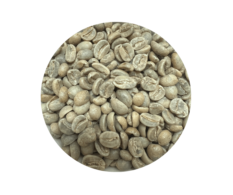 Mexico Chiapas HG EP Green Coffee Beans - ROASTIKA