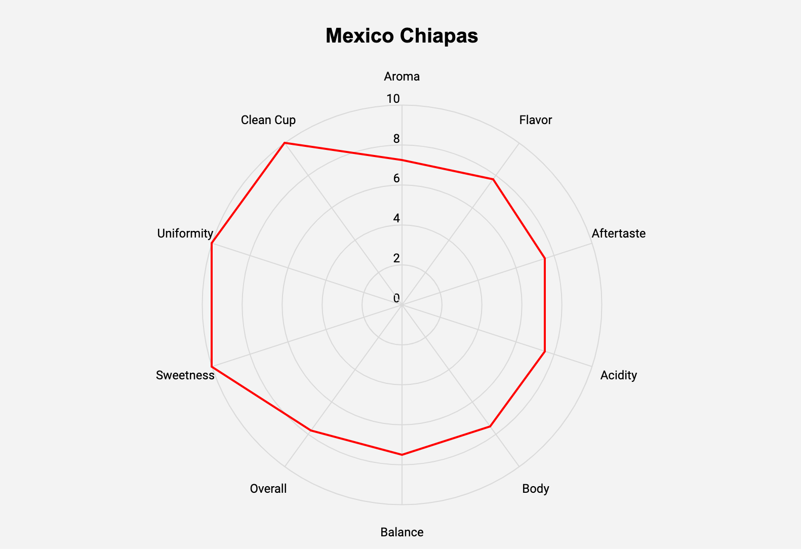 Mexico Chiapas HG EP Green Coffee Beans - ROASTIKA