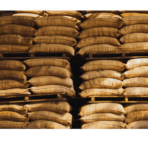 Mexico Chiapas HG EP Green Coffee Beans - ROASTIKA