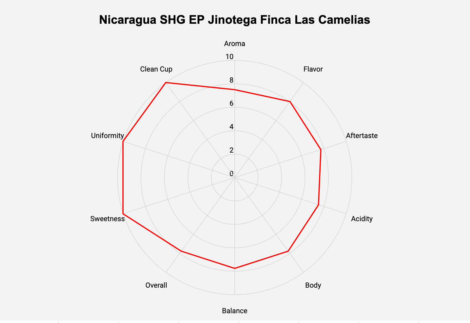 Nicaragua SHG EP Jinotega Finca Las Camelias - ROASTIKA
