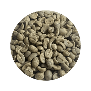 Nicaragua SHG EP Jinotega Finca Las Camelias - ROASTIKA