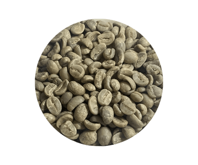 Nicaragua SHG EP Jinotega Finca Las Camelias - ROASTIKA