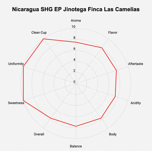 Nicaragua SHG EP Jinotega Finca Las Camelias Green Coffee Beans - ROASTIKA