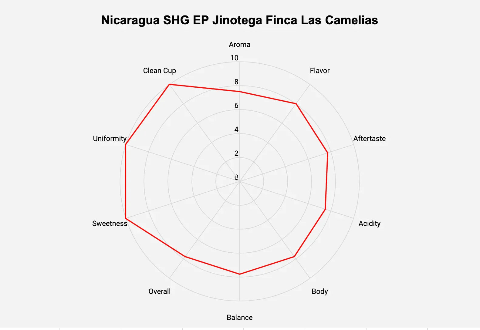 Nicaragua SHG EP Jinotega Finca Las Camelias Green Coffee Beans - ROASTIKA