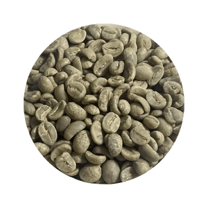 Nicaragua SHG EP Jinotega Finca Las Camelias Green Coffee Beans - ROASTIKA