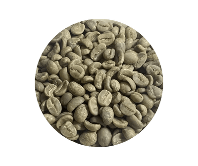 Nicaragua SHG EP Jinotega Finca Las Camelias Green Coffee Beans - ROASTIKA