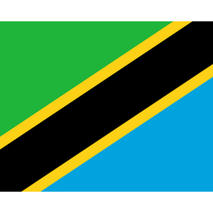 Tanzania peaberry coffee - ROASTIKA