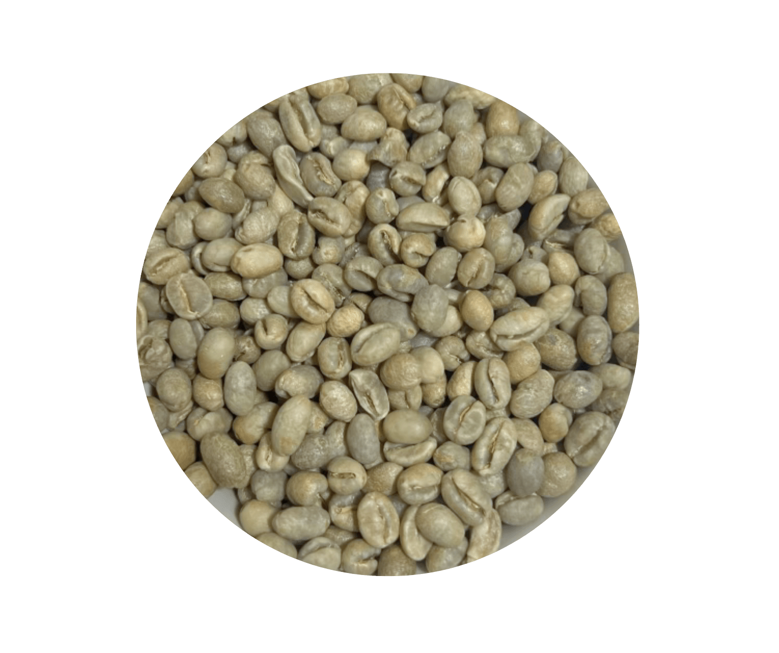 Tanzania peaberry coffee - ROASTIKA