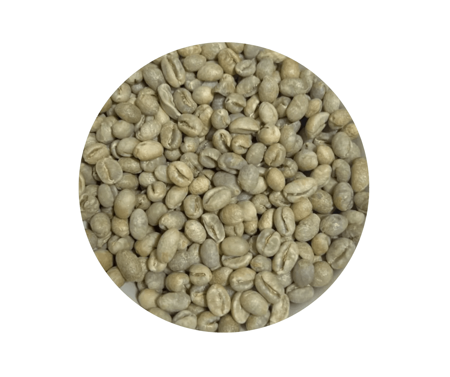 Tanzania Peaberry Green Coffee Beans - ROASTIKA